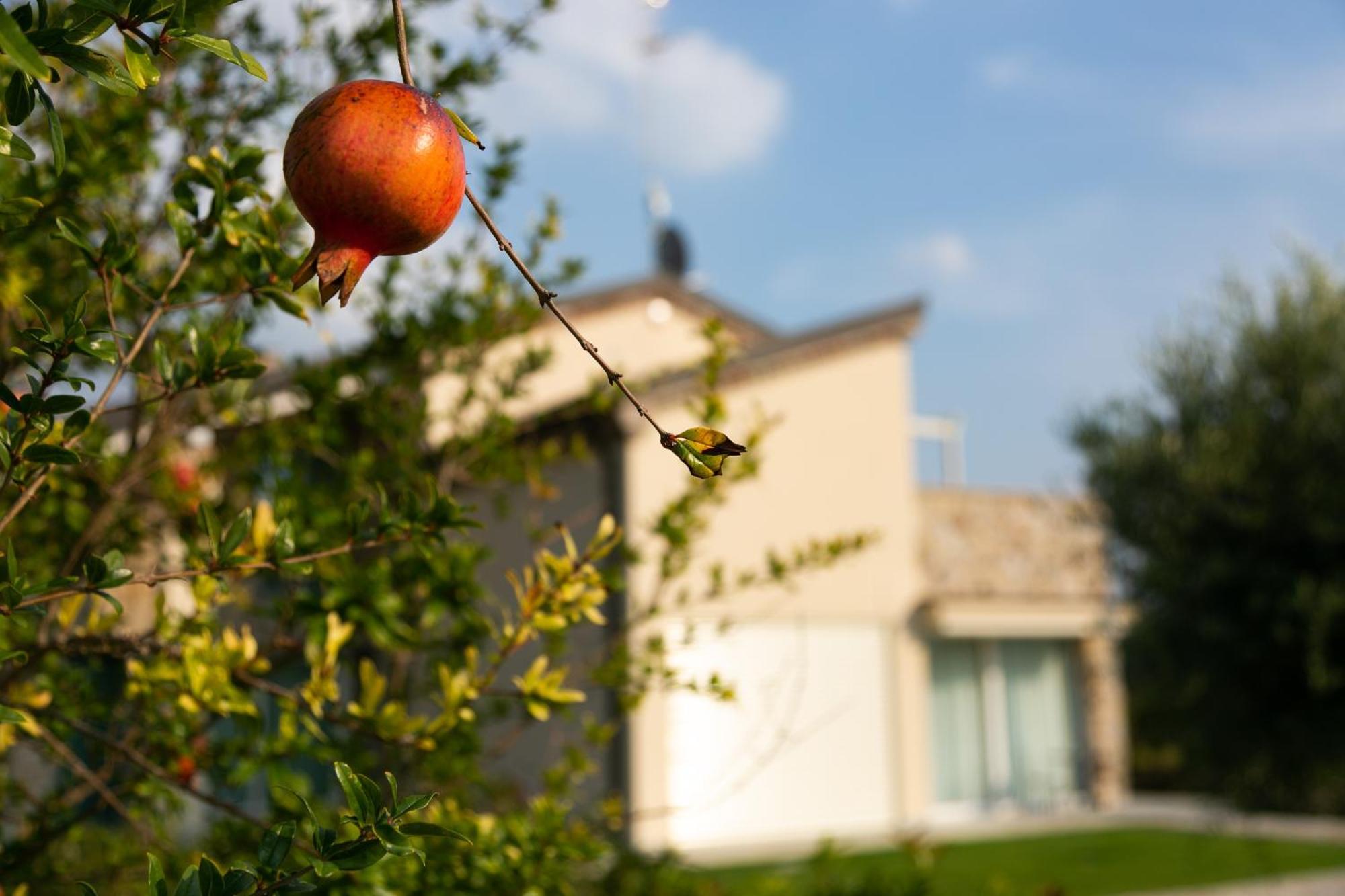 Casa Massaro Todeschini Aparthotel Abano Terme Exterior photo