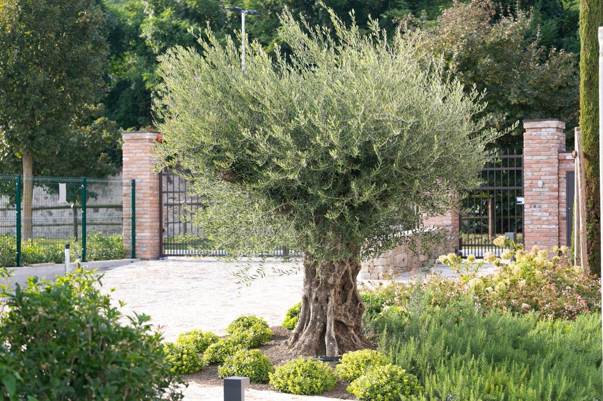 Casa Massaro Todeschini Aparthotel Abano Terme Exterior photo